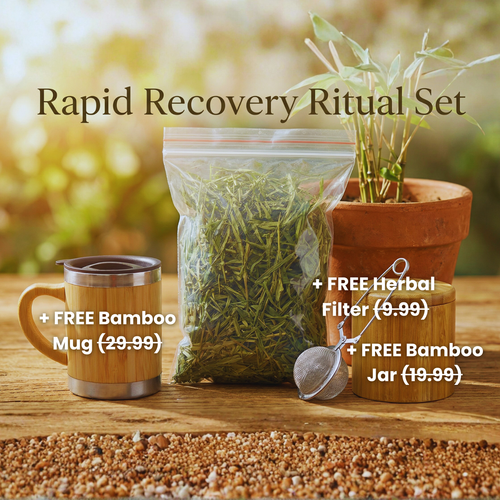 The Rapid Recovery Ritual Set (30 Day Supply)